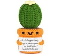 Sympathy Gifts for Loss of Loved One - Bereavement Condolences Gift for loss - Memorial Remembrance Gift for Mom Dad Grandma Grandpa - In Memory of Grief Gifts for Women Men Sorry for Your Loss Cactus