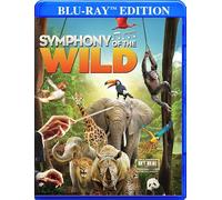 Symphony Of The Wild