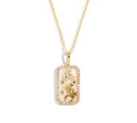 Symretie 14K Gold Plated Leo Zodiac Sign Necklace - 316L Stainless Steel 12 Constellation Necklace for Men Women - Horoscope Astrology Pendant