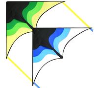 SYNCFUN 2 Packs Large Delta Kite Green and Blue Easy to Fly, for Kids and Adults with 100m String, Large Delta Beach Kite for Outdoor Games and Activities