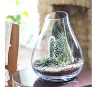 Syndicate Clear Glass Artisan Terrarium, 14 x 6 x 14 Inches, Indoor Planter for Succulents, Hand Wash Only