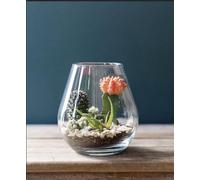 Syndicate Glass Lantern Terrarium Kit, Clear, 14 x 6 x 14 Inches, Hand Wash, Indoor Planter for DIY Projects, Create Your Own Design