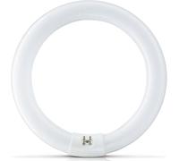 Synergetic TGX22 Circular Flykiller, 22W, White