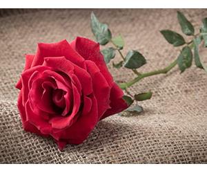 Synge’s Playboy of the Western World