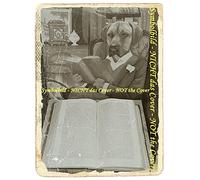 Synge's "Playboy of the Western World"