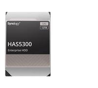 Synology HAS5300-12T 12 To