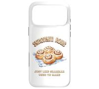 Synonym Rolls Funny English Language Pun Grammar Humor Case for iPhone 17 Pro Max