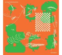 Syntax Terrorkester - Intermett [VINYL]