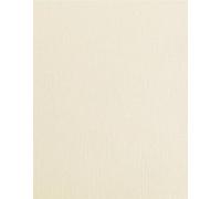 Syntego 12" x 12" Ivory Linen Silkweave Scrapbook Paper 135gsm Decorative Single Sided Embossing