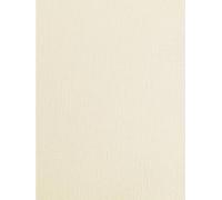 Syntego Ivory Linen Silkweave Textured A4 Card - 250gsm | Pack of 100 Sheets | Premium Quality Cardstock for Crafting, Resturant Menus, Certificate