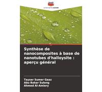 Synthèse de nanocomposites à base de nanotubes d'halloysite : aperçu général