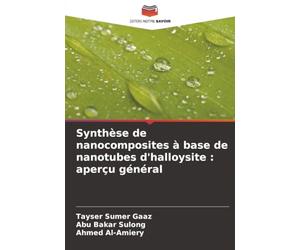Synthèse de nanocomposites à base de nanotubes d'halloysite : aperçu général
