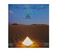 Synthesizer Giganten - In the air tonight-Hits played by Synthesizer Giganten [VINYL]
