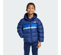 adidas Unisex Kids SYNTHETIC DOWN JACKET, Dark Blue/Royal Blue/Glow Blue, 5-6 Years