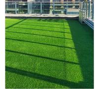Synthetic Grass Mat,Premium 2cm Thick Artificial Grass Turf Mat for Patio, Balcony & Backyard - Durable Synthetic Lawn Carpet Perfect for Pets & Doorways (50x80cm)