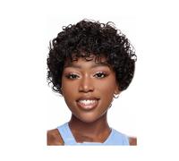 Synthetic Hair Curly Wigs Short Curly Human Hair Wig Human Hair Water Curly Wigs for Women Wigs for Women