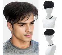Synthetic Mens Wigs Short Layered Wavy hair Fit on Every Head Size Wig for Men and Boys-287-2