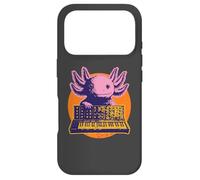 Synthpop new-wave-music dark-wave Axolotls.Pets synthesizer Case for iPhone 17 Pro