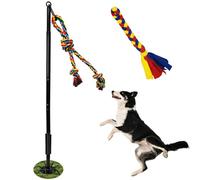 SYOOY Outdoor Interactive Dog Toys,Tether Tug Outdoor Dog Toy Exercise Equipment in Yard Park with 2 Rope Toy for Large Medium Small Dogs Pull Chase and Tug of War