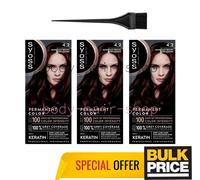 Syoss Professional 4-2 Mahogany Brown Intense Rich Glossy Hair Color Bulk 3-Pack