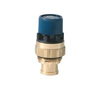 SYR Safety Valve 8 Bar