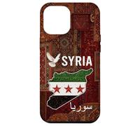 Syria Flag and Map Damascus Proud Heritage Design Love Syria Case for iPhone 12 Pro Max