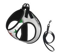 Syrian Arab Republic Flag Map Print Adjustable Reflective Harness Leash Set For Cats, Dogs And Small Pets, Soft Breathable Mesh Walking Vest With Escape-Proof Lead