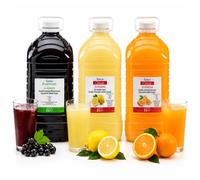 Sysco Double Strength Squash - No Added Sugar Concentrated Drinks | Bulk Catering Juice for Schools, Hotels, Care Homes, Offices, Cafés & Hospitality (1 Lemon, 1 Blackcurrant & 1 Orange)