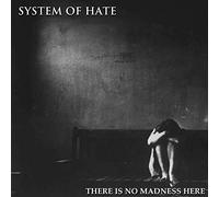 System Of Hate - There Is No Madness Here [VINYL]
