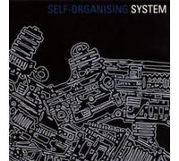 System - Self Organising System