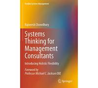 Systems Thinking for Management Consultants: Introducing Holistic Flexibility (Flexible Systems Management)