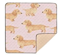 SyXIOP Cute Brown Dachshund Soft Thick Baby Play Tummy Time Mat for Floor Portable foldable Travel Play Mat for Baby Toddler Infant, 50'' x 50''