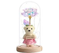 Syzplnwy LED Rose in Glass Dome - Eternal Flower Light, Decorative Night Light, Romantic Gift for Valentine's Mother's Wedding, Pink