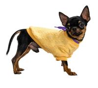 SZAT PRO 23-30 lbs Small Dog Knitted Sweaters Colorful Knit Yellow XXL