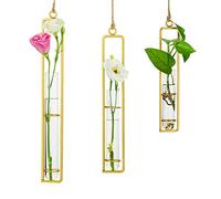 Sziqiqi Hanging Clear Glass Propagation Station Tube Vases for Cuttings, Buds, Greenery Hydroponic Plant Propagation Home Balcony Bath Wall Decoration Floral Container Set of 3 Gold