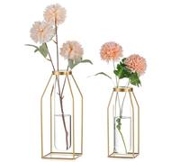 Sziqiqi Metal Wire Flower Vase - Gold Frame Vase with Glass Test Tubes 19.5/24.5cm Modern Bud Vase for Coffee Table Living Room Abstract Geometric Art Vase for Rose Hydroponic Plant Pampas