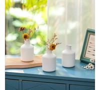 Sziqiqi Mini White Bud Vase - Small Flower Vases for Dried Artificial Flowers 3 Pcs Cute Nordic Vases for Living Room Minimalist Little Vase for Wedding Christmas Anniversary Table Centrepiece Decor