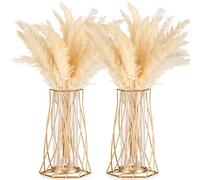 Sziqiqi Modern Nordic GLass Vase for Flower Pampas Grass Roses- 2 Pcs Gold Geometric Metal Outline Tulip Vase Small Bud Flower Vase Gifts Living Decorative Vases for Her Women Mum Girlfriend Lady