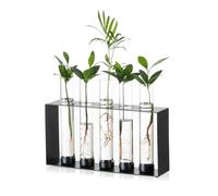 Sziqiqi Plants Propagation Station - Glass Terrarium Vase with 5 Test Tubes for Hydroponics Plants Cuttings Modern Metal Vase for Flowers Black Desktop Vases for Home Office Decor