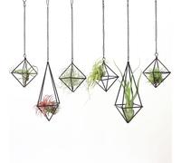 SZRUIZFZ Black Metal Air Plant Hanger, Tillandsia Air Plants Holders Unique, Modern Air Fern Display Stand with Chains for Home Wall Decor,Octahedron Himmeli Geometric Decor, Home Decor Gifts (6Pcs)