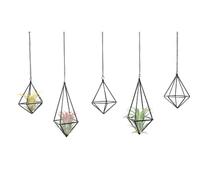SZRUIZFZ Tillandsia Air Plant Holder Black Geometric Hanging Air Plant Holders Unique for Wall Decor Xerographica Air Plant Hanger for Indoor Decor Himmeli Geometric Decor (5Pcs) L8