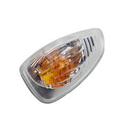 SZTMYVUW Compatible With Opel For Movano 2010 2011 2012 2013 2014 2015 2016 2017 2018 Door Mirror Indicator Lamp Left Right Kit 261603141R Rearview Mirror Indicator(Right)