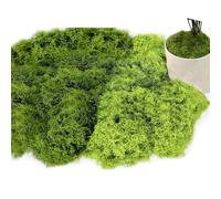 Sztqqing 160 g Artificial Moss for Decorating, Artificial Moss for Crafts, Artificial Moss Craft Moss for Wall, Nativity, Aquarium, Moss, Nativity, Model Making, Dark Green, 80 g + Light Green 80 g