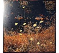 Szun Waves - Earth Patterns (Brown Smoke)