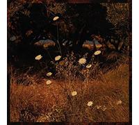 Szun Waves - Earth Patterns [VINYL]