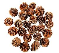 szvbofueck Hanging Christmas Cones Christmas Tree Bauble Ornament Christmas Decoration 24 Pieces Home Decor Conservatory Heating Blanket (Multicoloured, One Size)