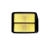 Szwaldaper 2 Pcs Set Air Filter Cabin Filter 17220-RFE-000 Old Styles, for Odyssey, 2.4 Model 2005-2009 Car Accessoris Filter Set Cabin Air Filter(1 pcs Air Filter)