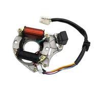 Szwaldaper Ignition Stator 2 Coil Magneto Stator Plate, for Kazuma, Quad ATV Go Kart Bike LF100 DY100 H100 LX100 Ignition Stator Magneto Plate Motorcycle Stator Plate