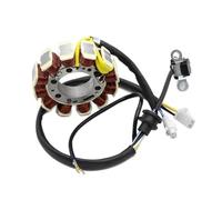 Szwaldaper Ignition Stator 3D6-H1410-00 Motorcycle Generator Magneto Stator Coil for XT125 XT125R XT125X 2005 2006 Ignition Stator Magneto Plate Motorcycle Stator Plate