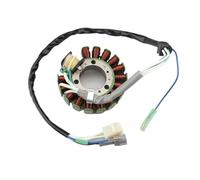 Szwaldaper Ignition Stator 4WP-85510-10 Motorcycle Magneto Stator Coil for TW125 1999-2004 for TW200 Trailway 200 2001-2017 Ignition Stator Magneto Plate Motorcycle Stator Plate